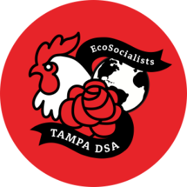 Tampa DSA EcoSocialists Logo