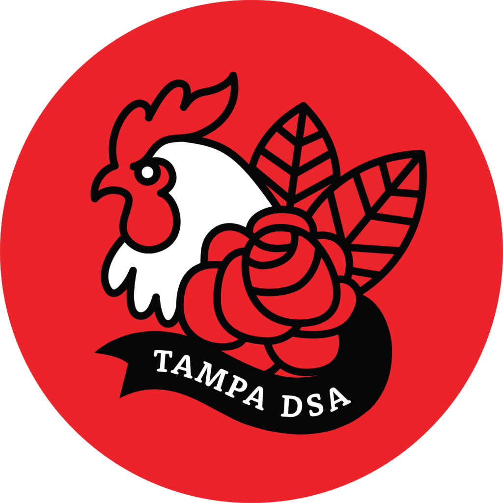 Tampa DSA chicken logo
